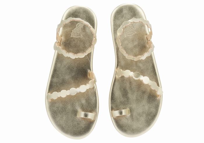 Sandales Toe-Post Ancient Greek Sandals Cronos   | VWS-5327374